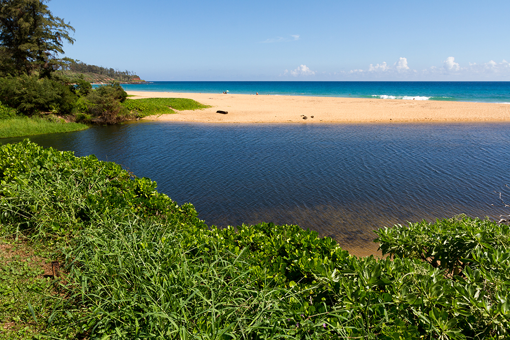 Kauai - 053.jpg